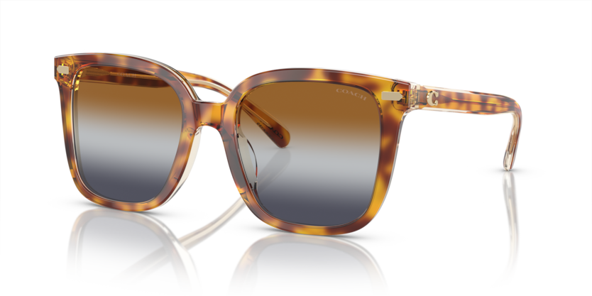 Coach HC8381U Cl918 Sunglasses