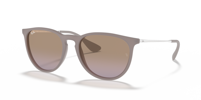 Ray-Ban RB4171 Erika Sunglasses