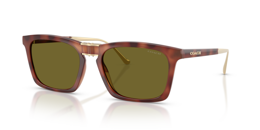 Coach HC8455 Cdp54 Sunglasses