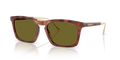 Coach HC8455 Cdp54 Sunglasses