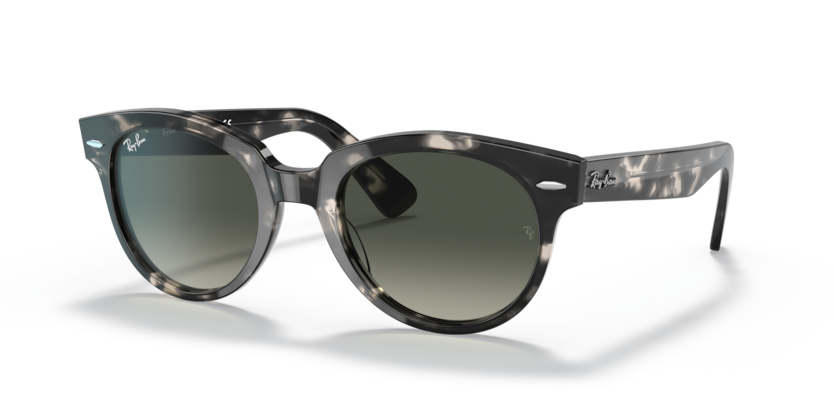 Ray-Ban RB2199 Orion Sunglasses