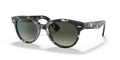 Ray-Ban RB2199 Orion Sunglasses
