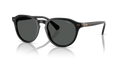 Polo PH4221  Sunglasses