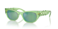 Swarovski SK6022  Sunglasses
