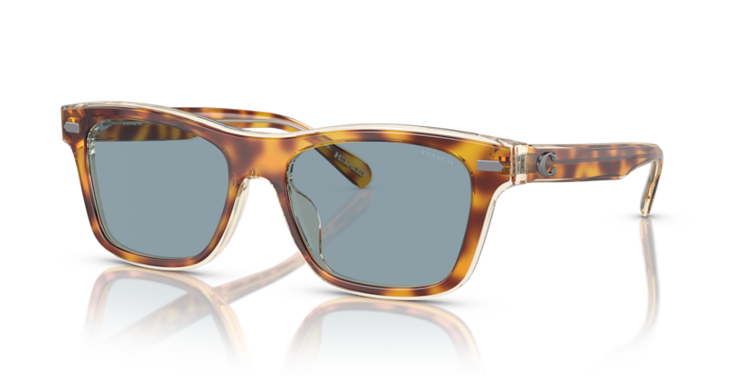 Coach HC8371U Ch583 Sunglasses
