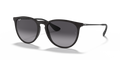Ray-Ban RB4171 Erika Sunglasses