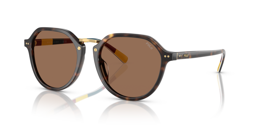 Polo PH4223U  Sunglasses