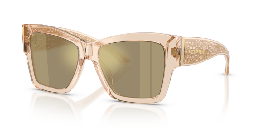 Dolce & Gabbana DG4493  Sunglasses