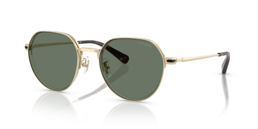 Coach HC7179 Cae81 Sunglasses