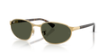 Ray-Ban RB3777  Sunglasses