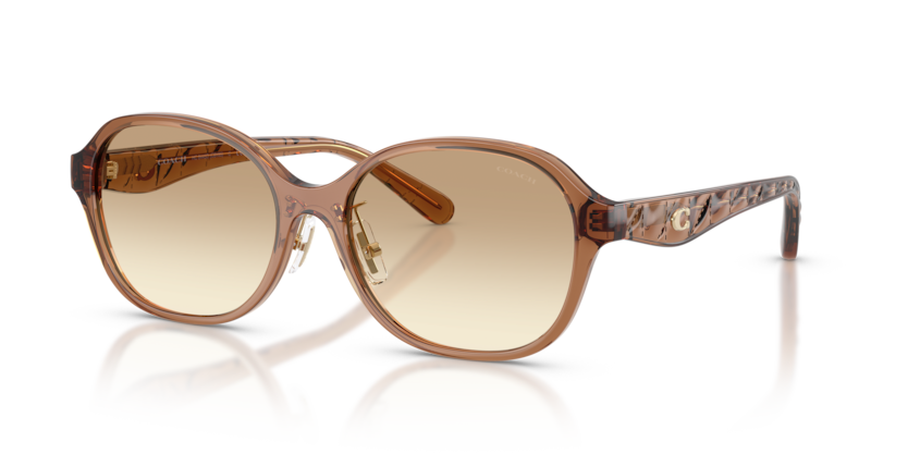 Coach HC8445D Cby85 Sunglasses