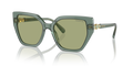 Swarovski SK6016  Sunglasses