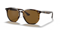 Ray-Ban RB4306F  Sunglasses