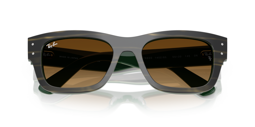 Ray-Ban RB7683S Joseph Sunglasses