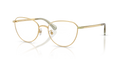 Swarovski SK1029D  Eyeglasses