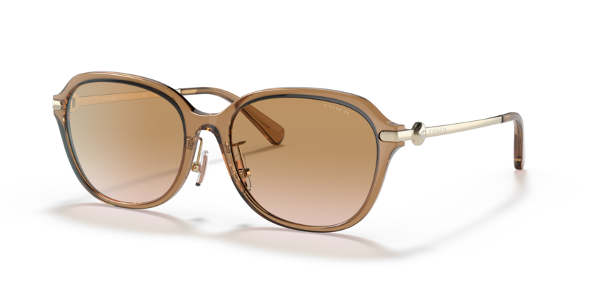 Coach HC8332D C6199 Sunglasses