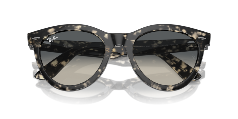 Ray-Ban RB2241F Wayfarer Way Sunglasses