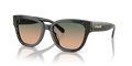 Coach HC8379U Cl920 Sunglasses