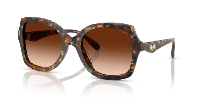Coach HC8410U Cw225 Sunglasses