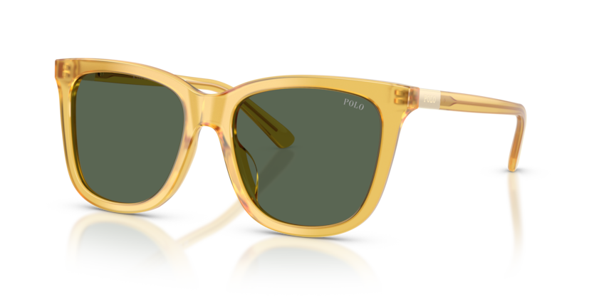 Polo PH4201U  Sunglasses