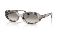 Ray-Ban RB2223  Sunglasses