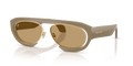 Giorgio Armani AR8239  Sunglasses