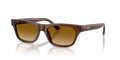 Polo PH4238U  Sunglasses