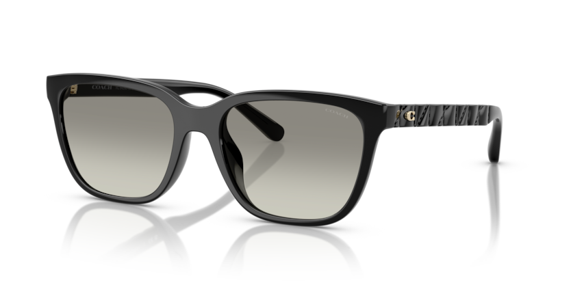 Coach HC8429D Cae86 Sunglasses