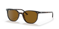 Ray-Ban RB2197 Elliot Sunglasses
