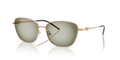 Emporio Armani EA2170  Sunglasses