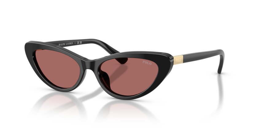 Polo PH4199U  Sunglasses