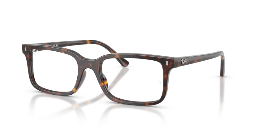 Ray-Ban Vista RX5445F  Eyeglasses