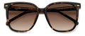 Carrera 3002/s Sunglasses