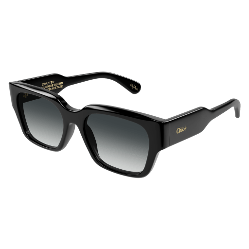 Chloé CH0190S Sunglasses