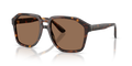 Dolce & Gabbana DG4568  Sunglasses