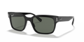 Ray-Ban RB2190 Jeffrey Sunglasses