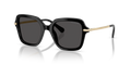 Swarovski SK6040F  Sunglasses