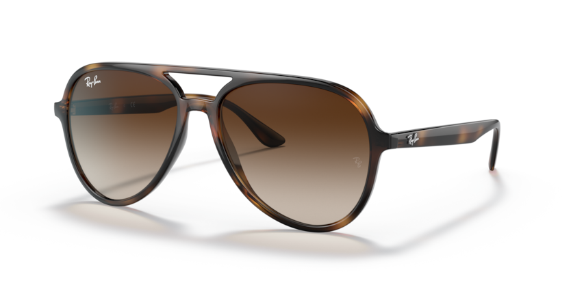 Ray-Ban RB4376  Sunglasses