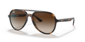 Ray-Ban RB4376  Sunglasses