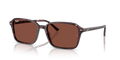 Ray-Ban RB2231F Raimond Sunglasses