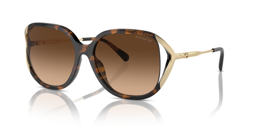 Coach HC8396U Cr620 Sunglasses