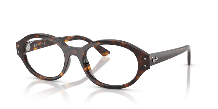 Ray-Ban Vista RX7257F Shilo Eyeglasses