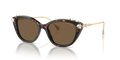 Swarovski SK6010F  Sunglasses