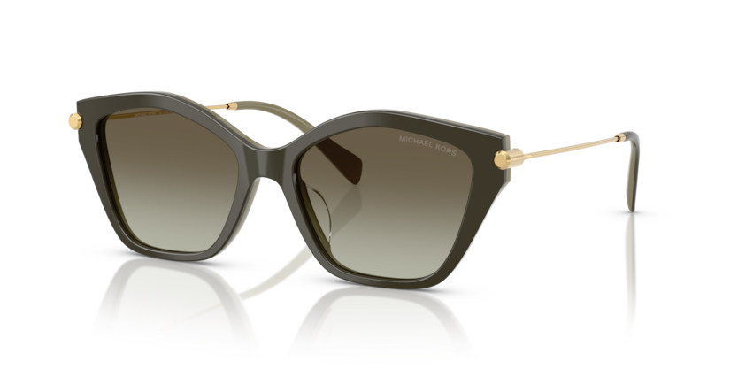 Michael Kors MK2246U Catskills Sunglasses