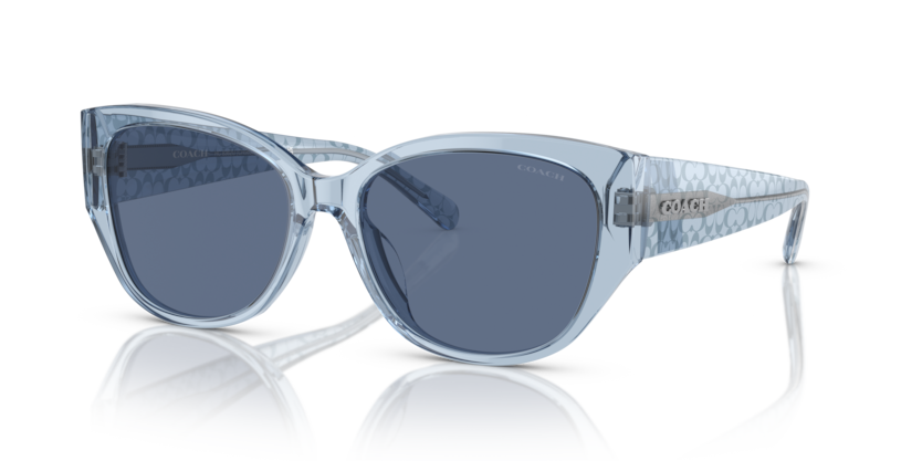 Coach HC8362U Ch563 Sunglasses