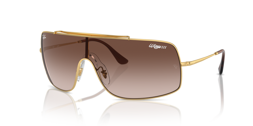 Ray-Ban RB3897 Wings Iii Sunglasses