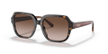 Coach HC8335U C7989 Sunglasses