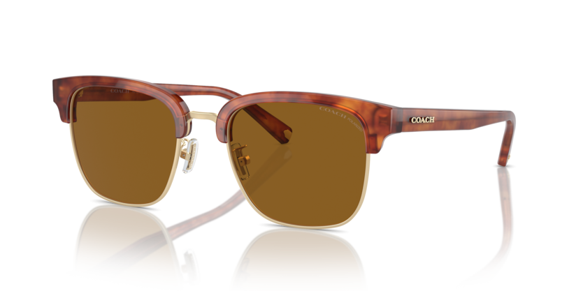 Coach HC8326 C6194 Sunglasses