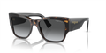 Vogue VO5462S  Sunglasses