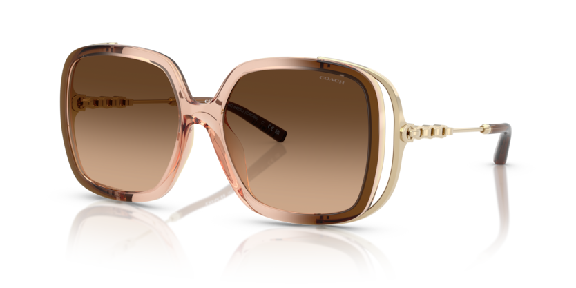Coach HC8423U Cad80 Sunglasses